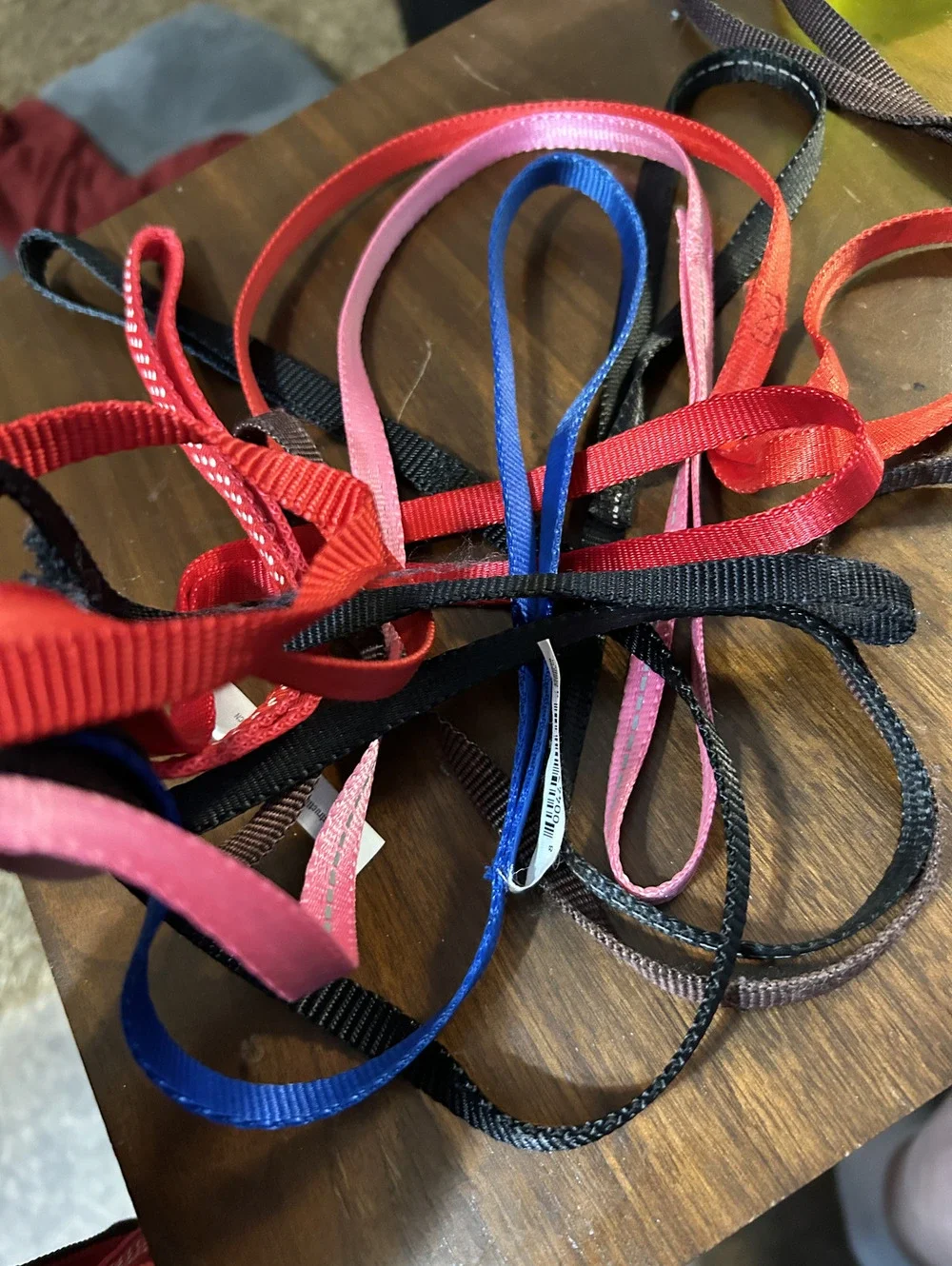 Assorted Nylon Dog Leashes with Metal Clips - Multiple Colors